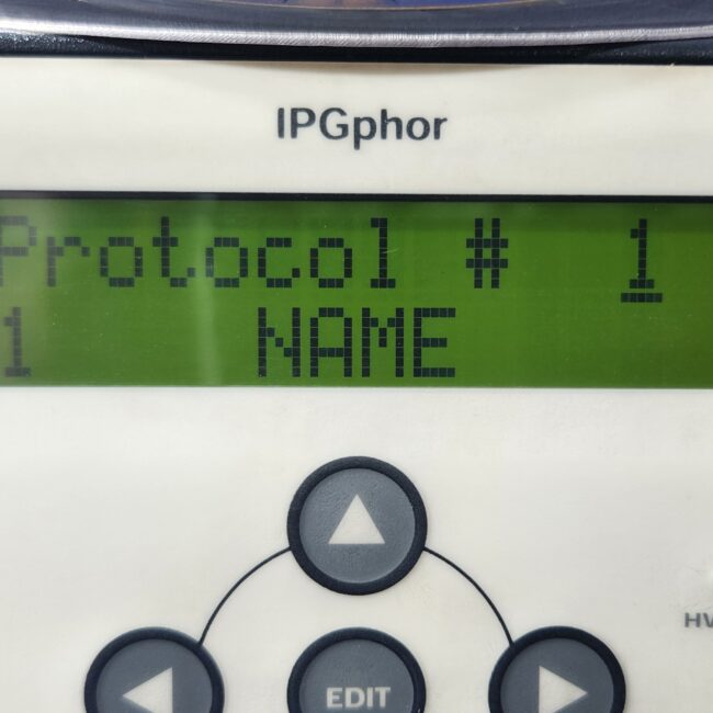 3804