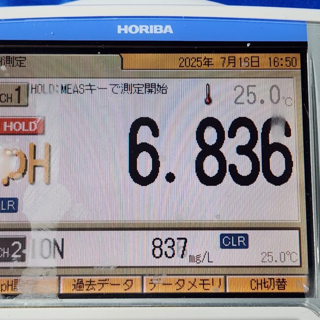 3847