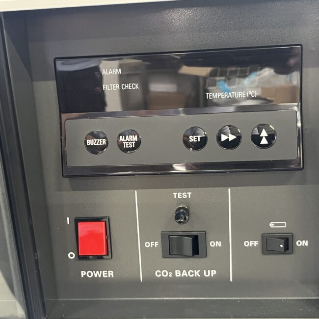 3916