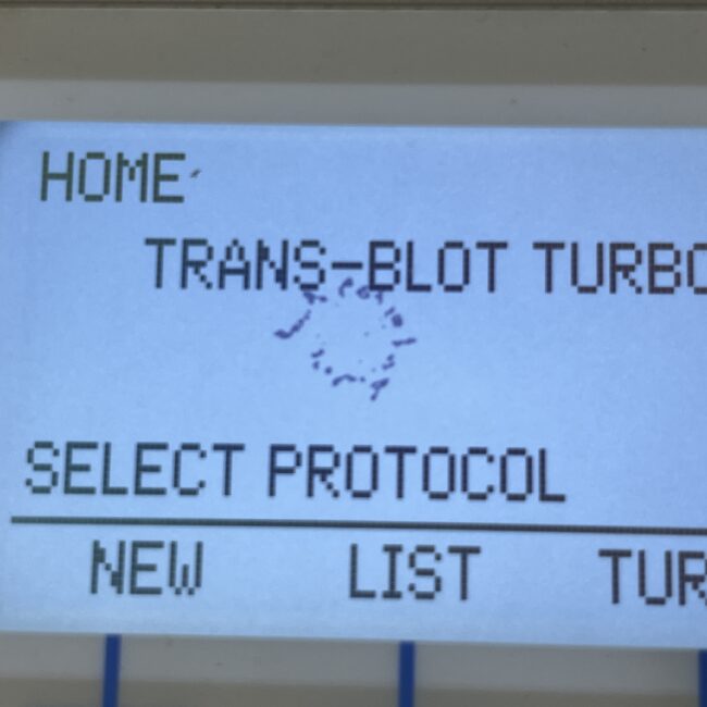3940